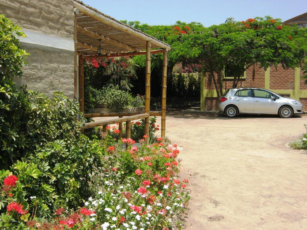 Bed and Breakfast Huaranjapo à El Carmen Extérieur photo